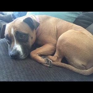 Meet your Posher, Laura